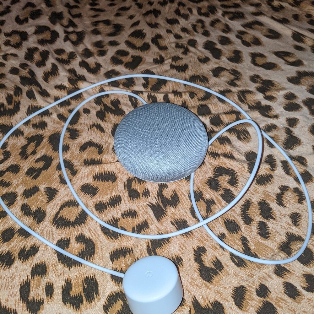 Google home mini speaker
